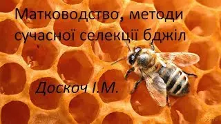 Матководство, методи сучасної селекції бджіл. Доскоч І.М.