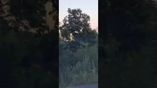 Природа Приморского края.
