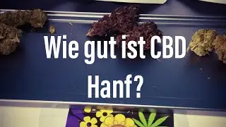 Ich teste CBD Hanf von CBD Blume