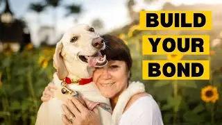How to Get Your New Dog to LIKE You