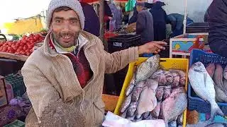لجميع عشاق الاسماك مع خالد samaka و يونس samaka 🐋🐙.           المرجو الدعم