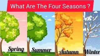 What Are The🍂 Four Seasons?🌄❄️#educationalvideo #kidsvideos #englishlesson