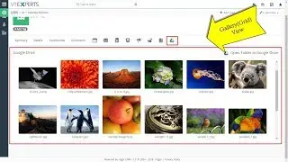 Google Drive Integration for VTiger (Extension)
