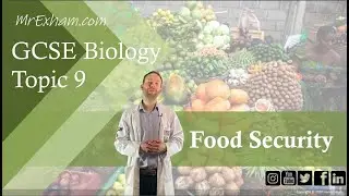 Food Security - GCSE Biology (9-1) 9.11B