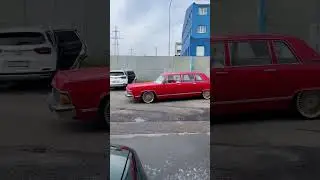 #Чайка