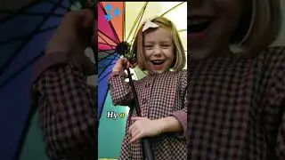 Отмена радуги 
