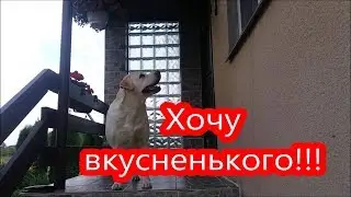 Приехала к 