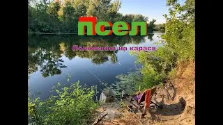 Псел 17 08 2024