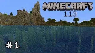 Vanilla 1.13 - E1 (Is That a Shark?)