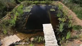 Take a look at David Pagan Butler's DIY natural swimming pool