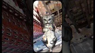 Cat Simulator Animal Life|КЛИП|