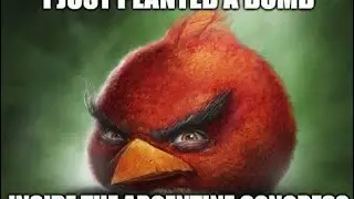 Goofy ahh Angry Birds 🐦🐤🦆🦉