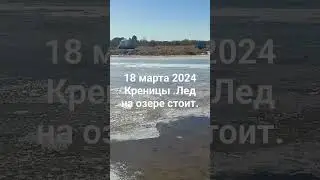 18 марта 2024 г.
