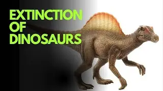 The Dinosaurs' Extinction
