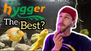 Hygger 500w Aquarium Heater Review #hygger #review