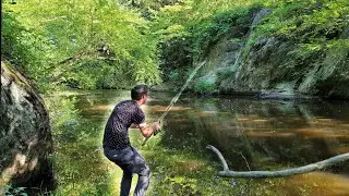 Discovering a Secret Pond Filled with Fish