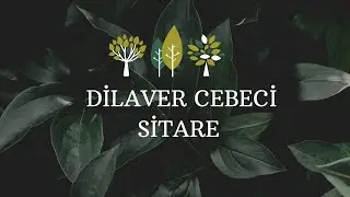 Sitare | Dilaver Cebeci