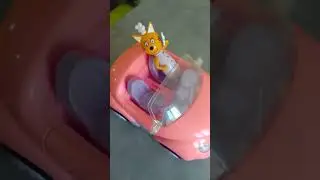три кота, приколы
