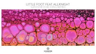 Little Foot feat. ALLKNIGHT - Survivor (Che-Yung Remix)