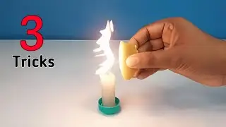 3 Amazing Experiments With Oranges || Science Activities for School Students