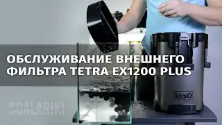 Как я обслуживаю внешний фильтр Tetra ex1200 plus. Видео-ответ Виталию Green Art