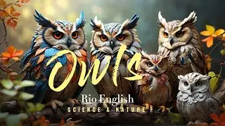 English Speaking Practice | Owls | BBC Learning English | Science and Nature ESL