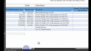 Using Excel for Tax Optimized Decision Making: DA project 1