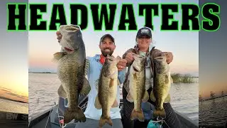 The Infamous Headwaters Lake in Florida - Amazing Bass Fishing! FILMED FEBRUARY 2022