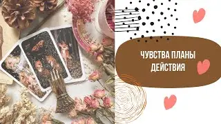 🔮ЧУВСТВА ПЛАНЫ ДЕЙСТВИЯ ✨🥰🔥 | Таро