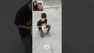 Kedi minik kayboldu