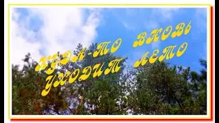Куда-то вновь уходит лето. Коротко о главном
