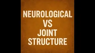 Structural Diagnosis vs Neurological Reality