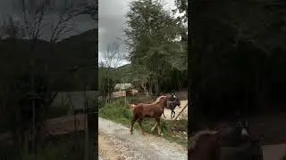 Little Faustina strolling through the Sanctuary