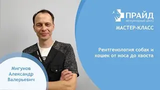 Мастер-класс 
