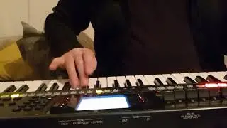 Roland E-A7