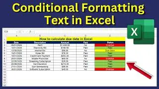How to Change Cell Color Based on Text in Excel (Step-by-Step)