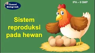 Sistem reproduksi pada hewan - IPA kelas 9 SMP