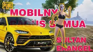 NGERI SATU MATCH ISINYA SULTAN SEMUA..TEAM SULTAN CUYYY, AUTO WINER WINER CHIKEN DINER | PUBG MOBILE
