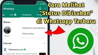 Cara Melihat Status Dibisukan di Whatsapp Terbaru 2023