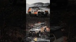 Which Tacoma Are You Taking? 
