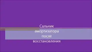 . Восстановление сальника стойки азотом. Назначение браслетной пружины амортизатора