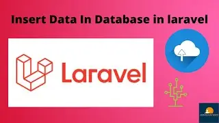 insert data in database in laravel