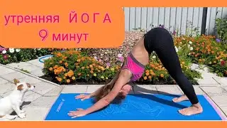 ⏰Утренняя☀ йога под звуки 🎼музыки @AlexTysevich "Be Like Water". Короткая практика на всë тело🧘🏼‍♀️