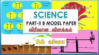 Grade 11 Part ii(B) Revision.8ம் வினா.