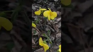 О желании выделяться #клиринг