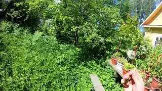 SlowMo