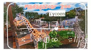 Madagascar Zoo Tycoon - The Sim 4 | StopMotion & Download CC |