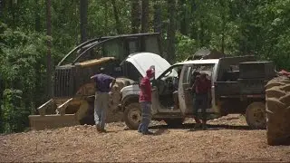 Deadly logging accident
