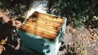 Для истории, некоторые семьи заслуживают этого.