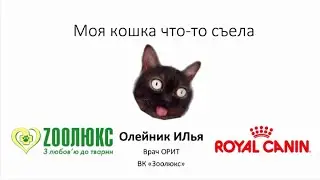 Моя кошка что-то съела. Доврачебная помощь кошкам в экстренных ситуациях.Вебинар.